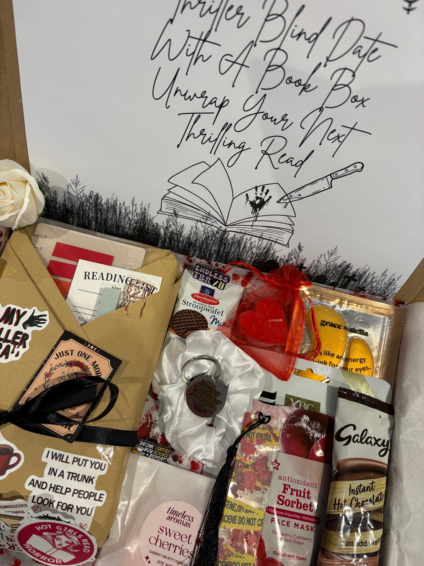 Thriller Blind Date With A Book Box