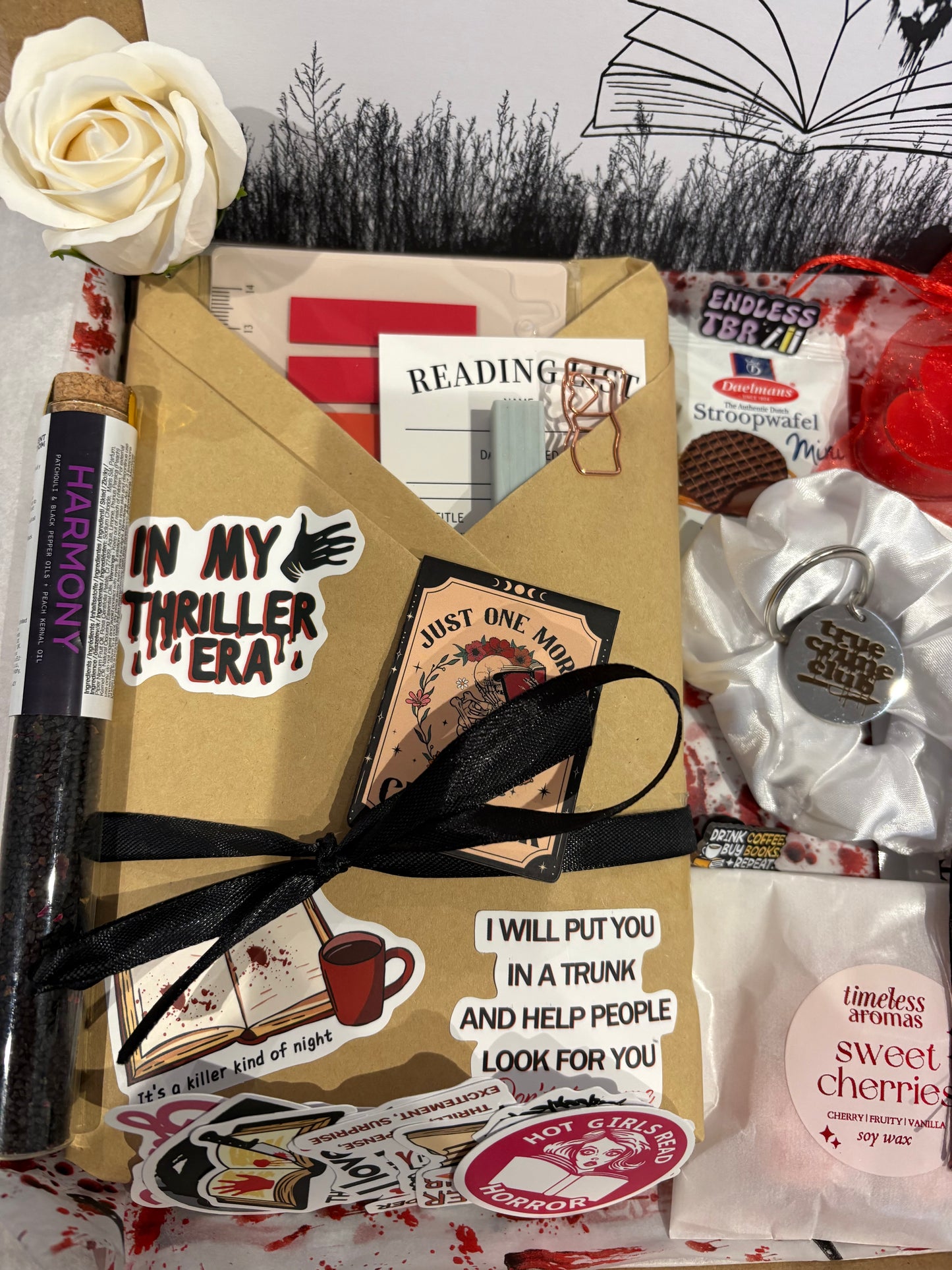 Thriller Blind Date With A Book Box